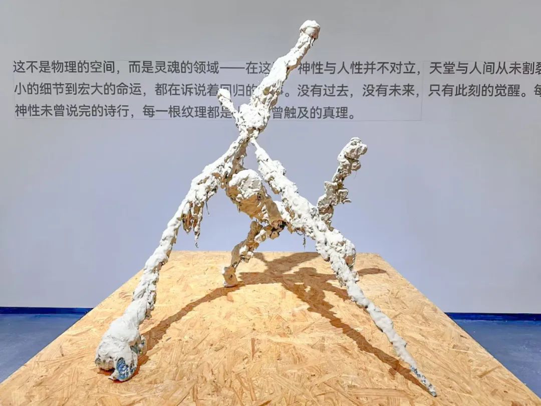 吴啸海个展“诺斯托依”：人看到什么，是谁决定的？