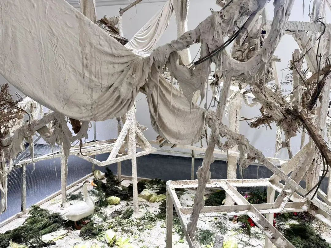 吴啸海个展“诺斯托依”：人看到什么，是谁决定的？