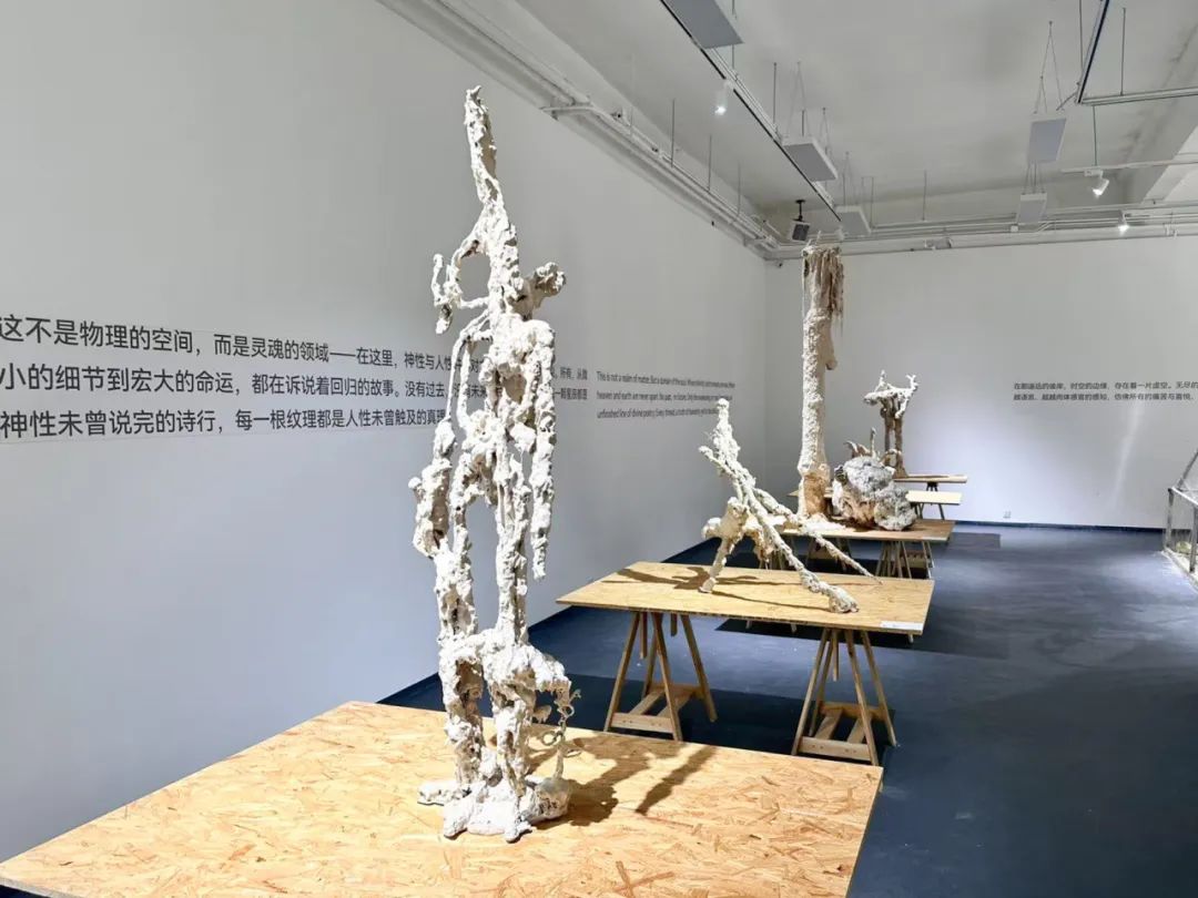 吴啸海个展“诺斯托依”：人看到什么，是谁决定的？