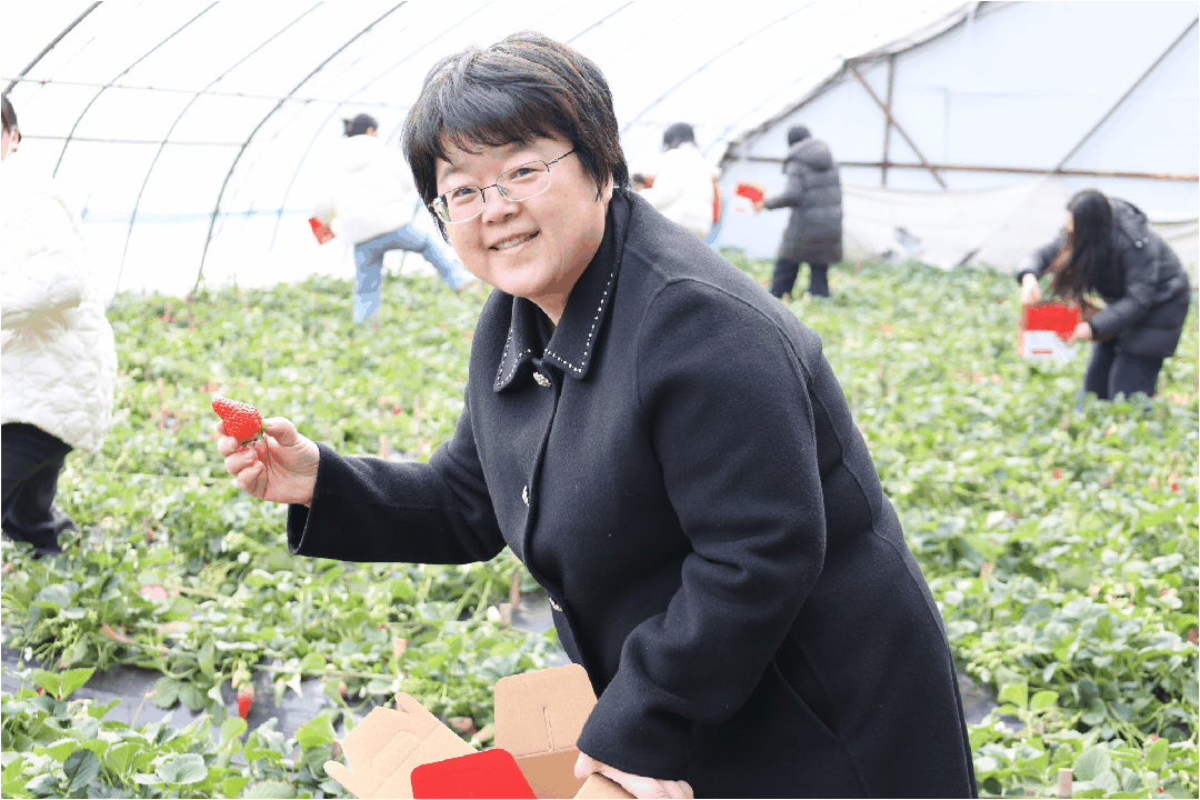 国药器械山东公司举办“三八”妇女节草莓采摘活动