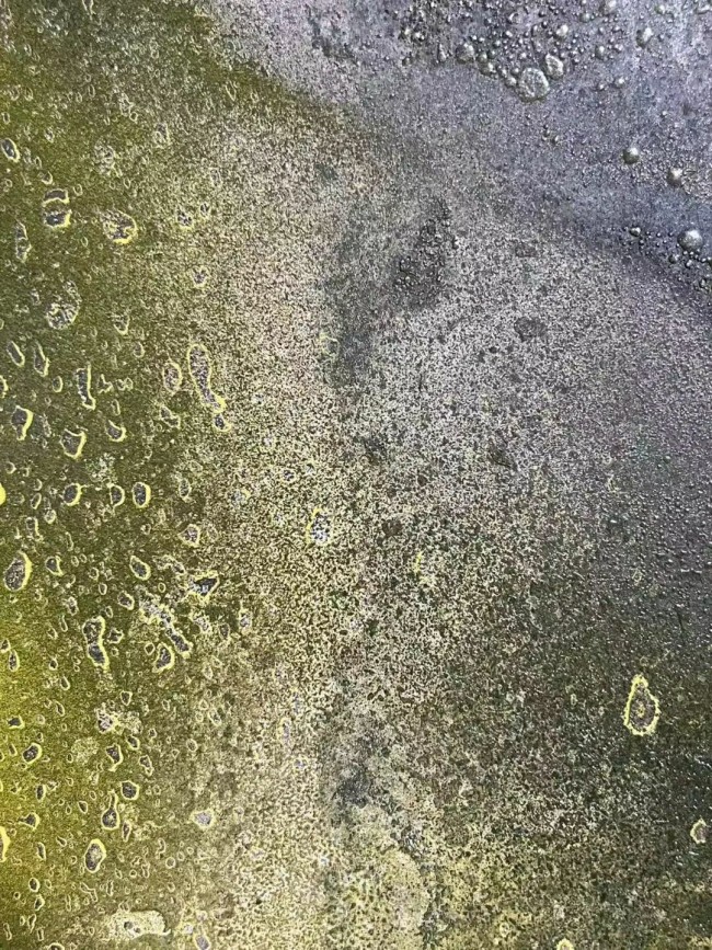 郑忠谈艺录（七十二）丨《文明之光》：以水墨的流动性赋予古老的甲骨文以现代生命力