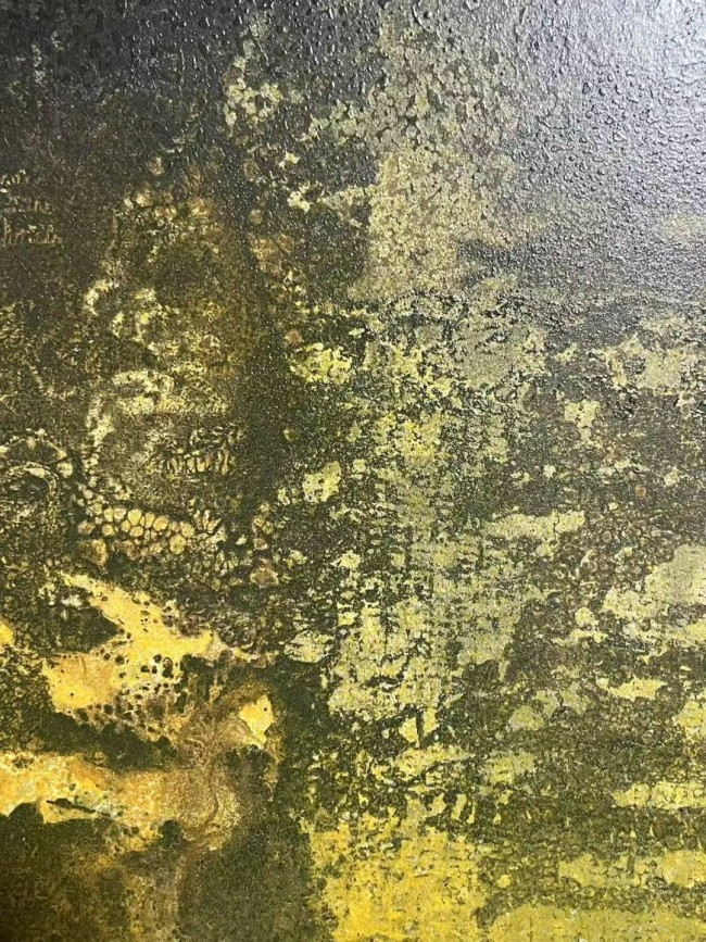 郑忠谈艺录（七十二）丨《文明之光》：以水墨的流动性赋予古老的甲骨文以现代生命力