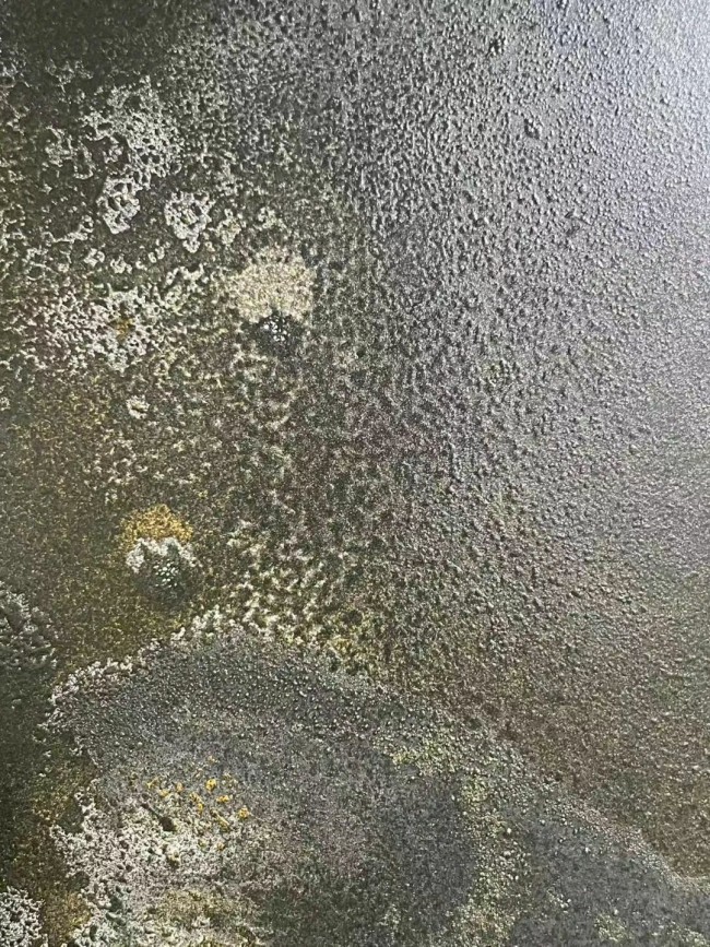 郑忠谈艺录（七十二）丨《文明之光》：以水墨的流动性赋予古老的甲骨文以现代生命力