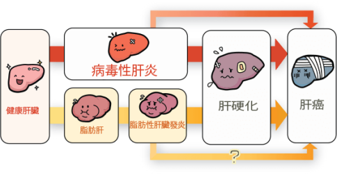 齐鲁细胞首款干细胞药物ind获批