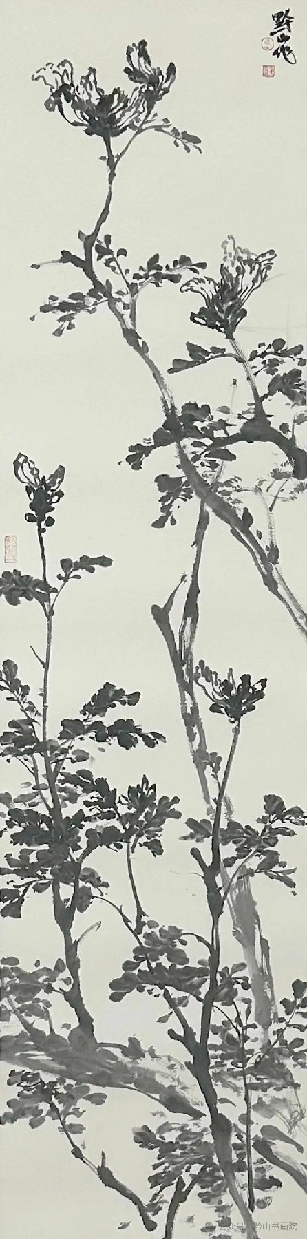 墨舞丹青，“焰”照雨林——岳黔山笔下的西双版纳火焰花