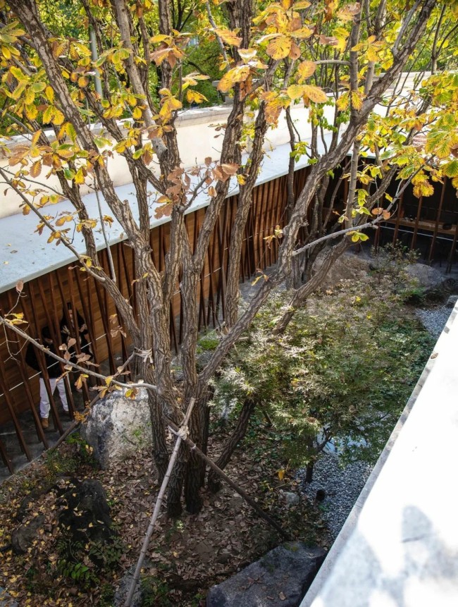 自然景观与几何空间叠加，构建出全新的语境——著名建筑师陶磊在北京打造“满园”