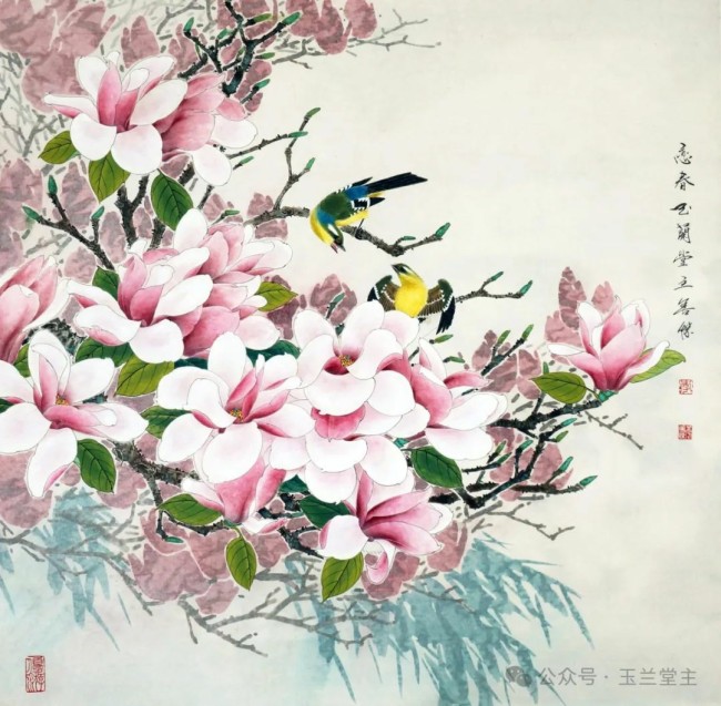 李善杰·花鸟画丨用清新的笔触与饱满的色彩，描绘玉兰探春、喜鹊登枝的春日画卷