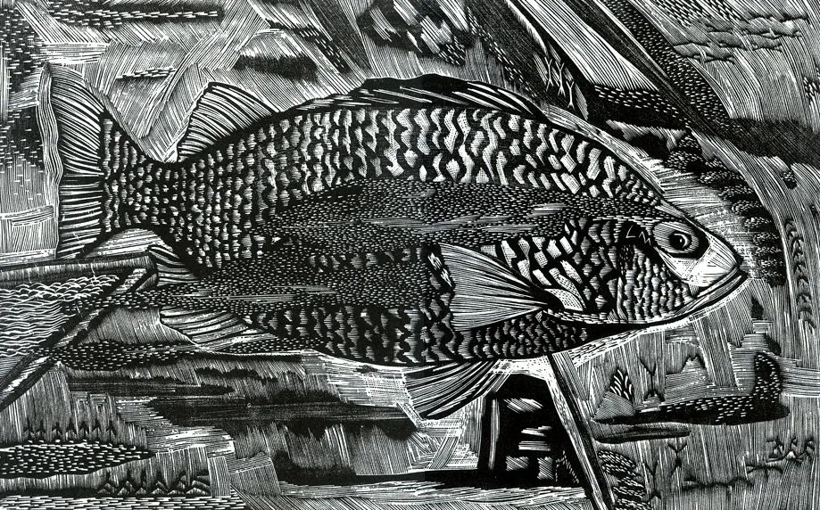 “木已成宙——康剑飞作品展”将于3月20日在北京开展