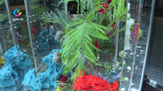 网红打卡丨济南国际双年展·邓国源装置艺术《诺亚花园ii》：一个万花筒般的梦境花园