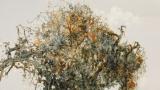 孙全义应邀参展，“触境（回顾与展望）——宁夏油画十一人联展”在银川展出
