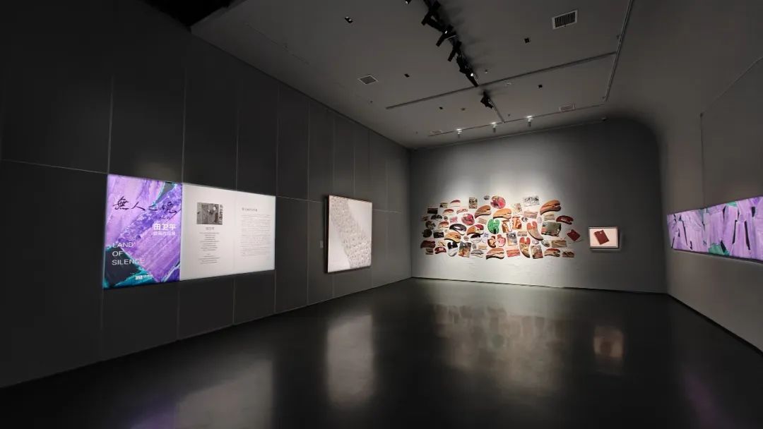 无人之境·田卫平绘画作品展 | 王力克：田卫平和我们画的不一样