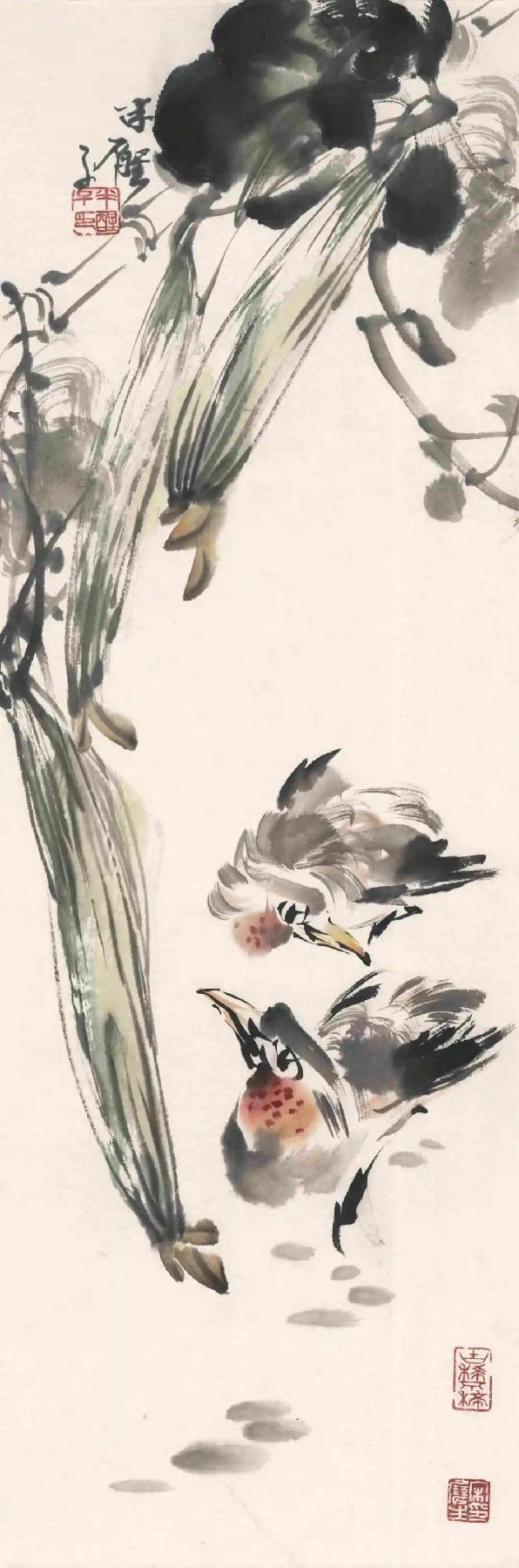 宋展生·花鸟画 | 入古出新 意趣天成
