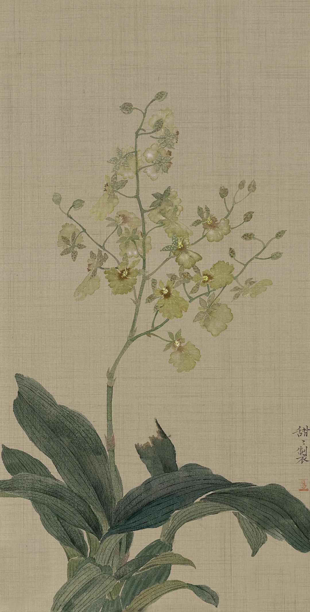 “花间解语·艺海同心——许晓彬、易甜甜花鸟画联展”将于3月18日在广州开幕