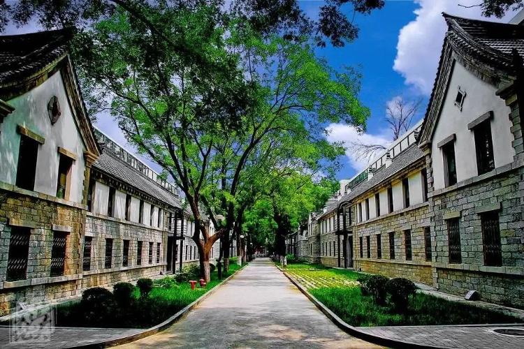 山东多所大学“开园”，高校春日攻略在此！