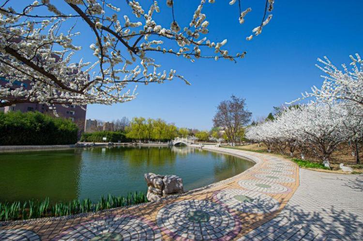 山东多所大学“开园”，高校春日攻略在此！