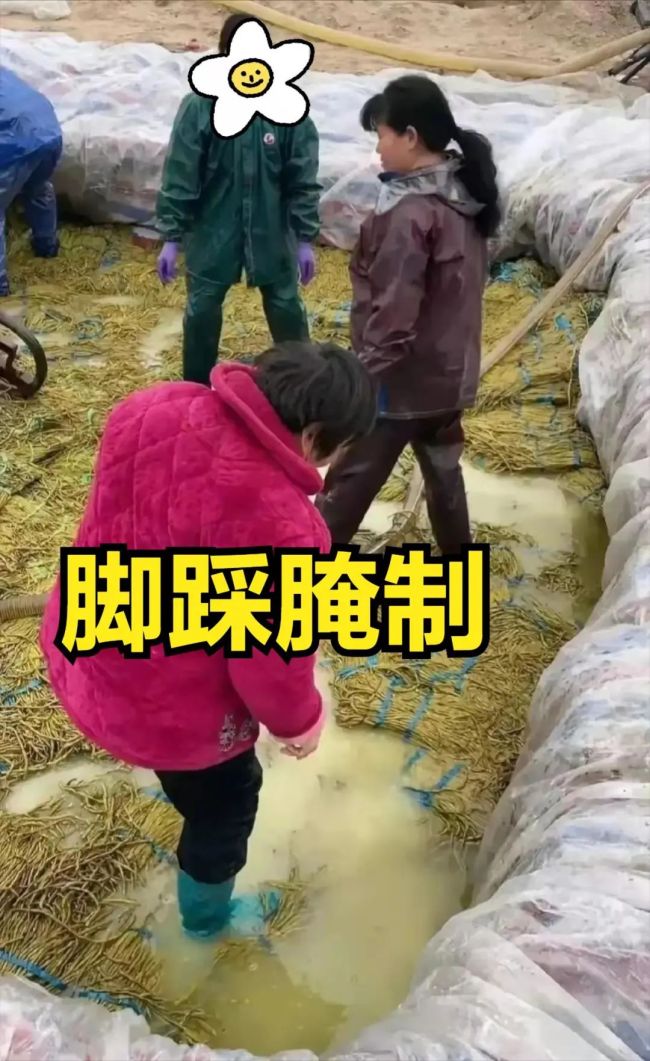 相关协会发表声明：柳州螺蛳粉用酸豆角与“脚踩酸豆角”无关