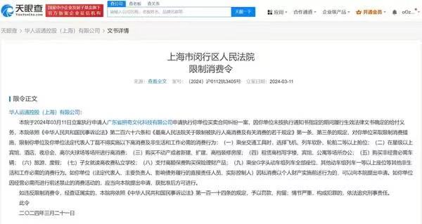 高合汽车创始人丁磊被限制高消费，公司被强制执行61万余元