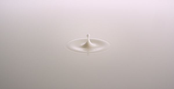 倡导“双蛋白”均衡饮食理念，豆奶或成下一款饮品“顶流”