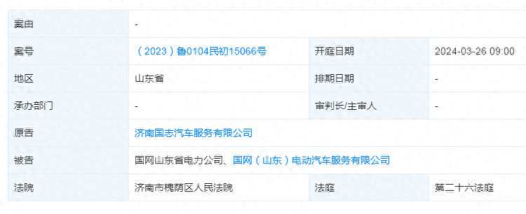国网山东省电力公司、国网（山东）电动汽车服务有限公司成被告