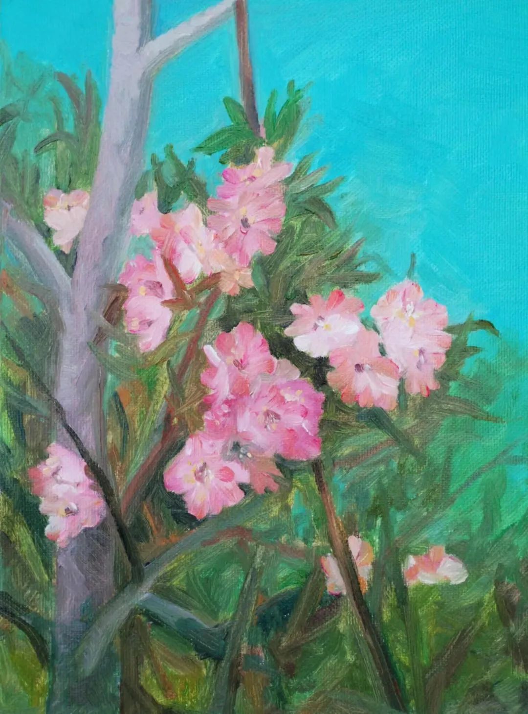 “2024·相约桃园——南山写生作品展”线上开展