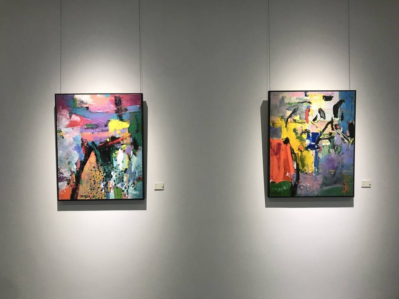 “形式的自觉——唐承华艺术展”在嘉兴开幕，开启色彩的觉醒