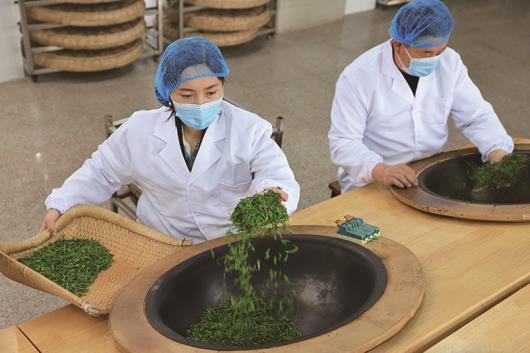 沂蒙巧手传茶香
