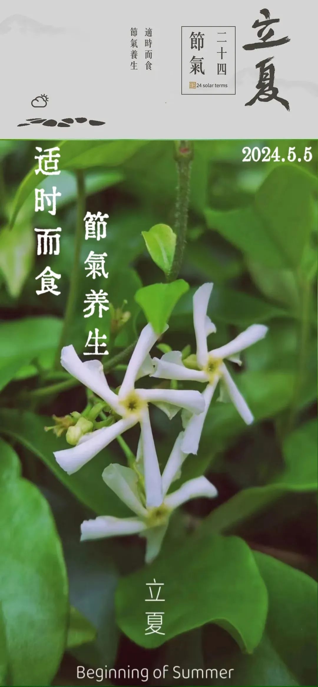 今日立夏，济南阳光家常菜推荐十款养生菜品