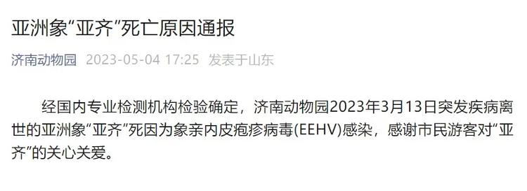 济南动物园通报亚洲象“亚齐”死亡原因：象亲内皮疱疹病毒(eehv)感染