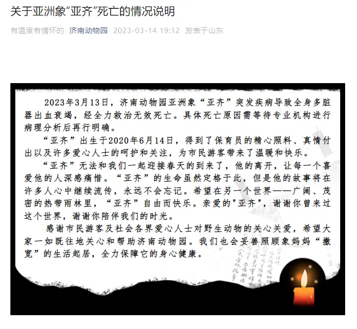 济南动物园通报亚洲象“亚齐”死亡原因：象亲内皮疱疹病毒(eehv)感染