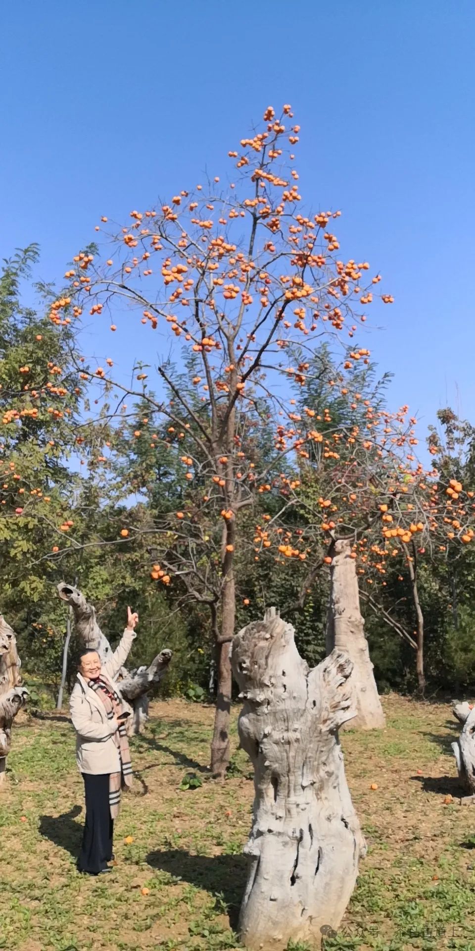 陪舒建新到潍坊青州云门山赏风景品美食，回味挥之不去的乡愁记忆