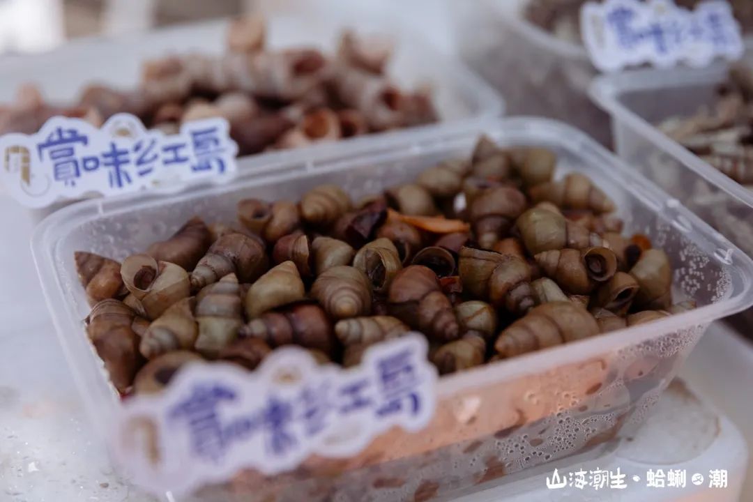 “蛤蜊盛宴”圆满收官，20年蛤蜊节焕新颜，再造城阳文旅新爆点