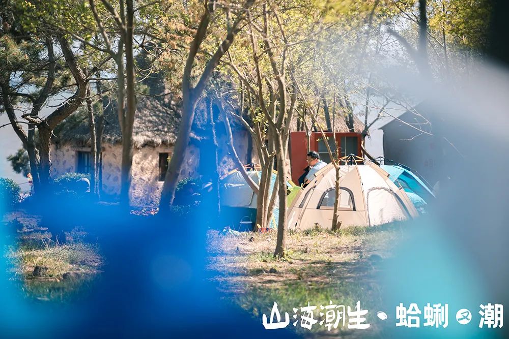 “蛤蜊盛宴”圆满收官，20年蛤蜊节焕新颜，再造城阳文旅新爆点