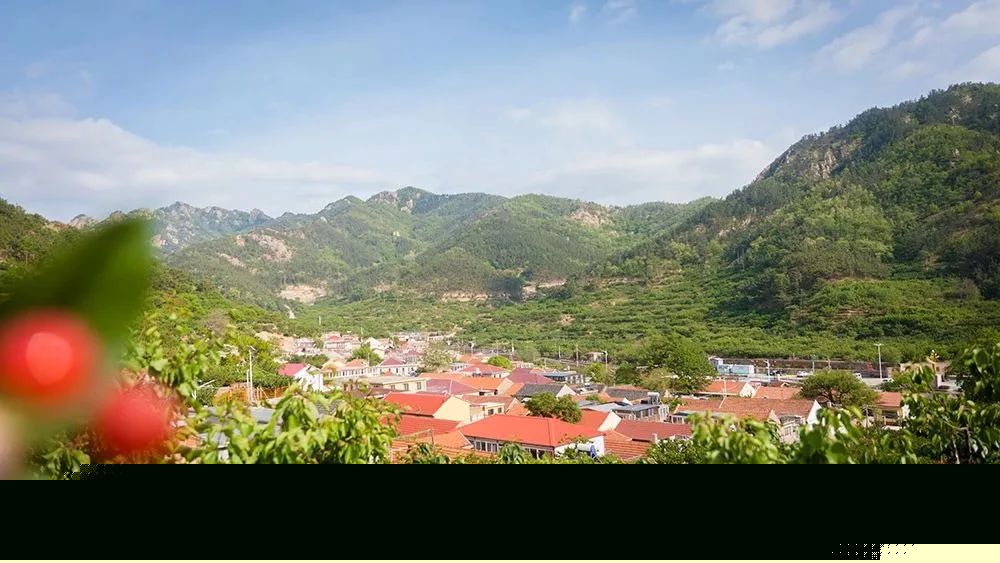 果满夏庄 樱你而来——2023青岛城阳夏庄山色峪樱桃生活节即将启幕