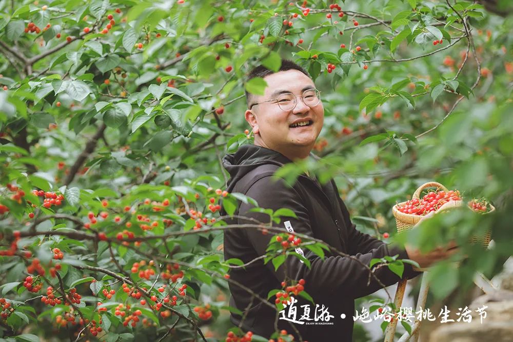 果满夏庄 樱你而来——2023青岛城阳夏庄山色峪樱桃生活节即将启幕
