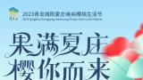 果满夏庄 樱你而来——2023青岛城阳夏庄山色峪樱桃生活节即将启幕