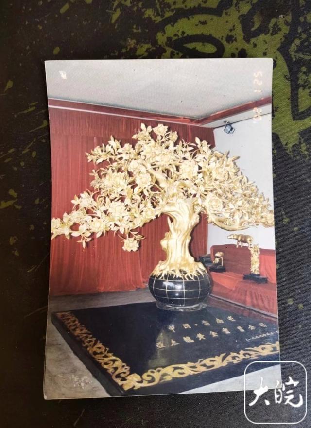 四棵价值过亿的金茶花在云南工行石林支行离奇失踪！女企业家追讨十余年无果，云南多方回应……