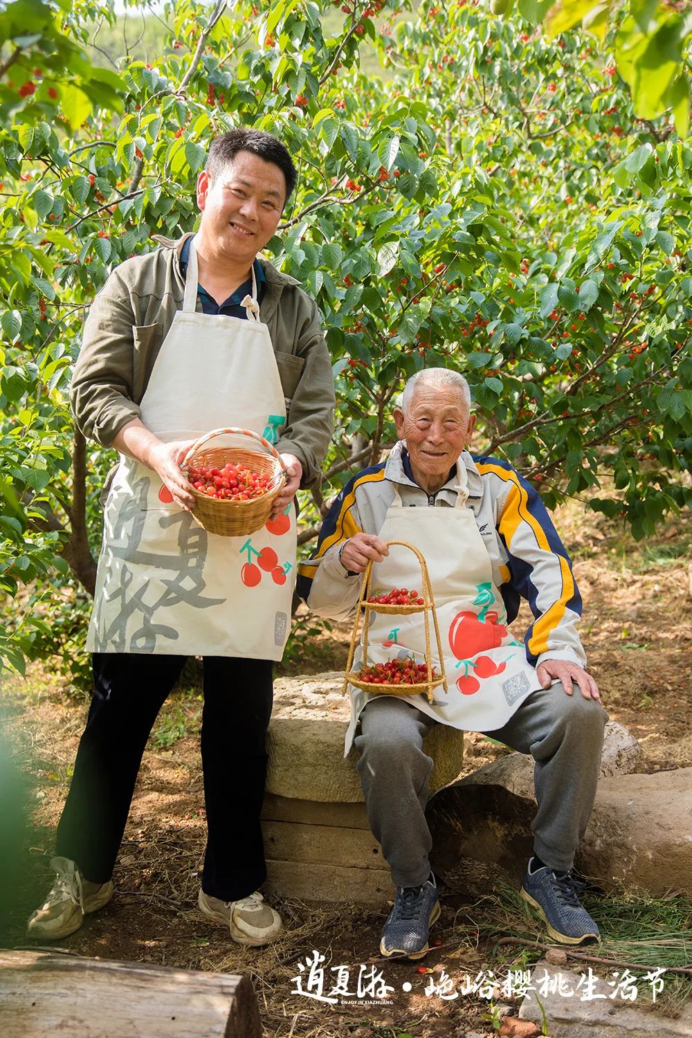 山色峪樱桃生活节惊艳开幕，邀你共赴美好乡村生活！