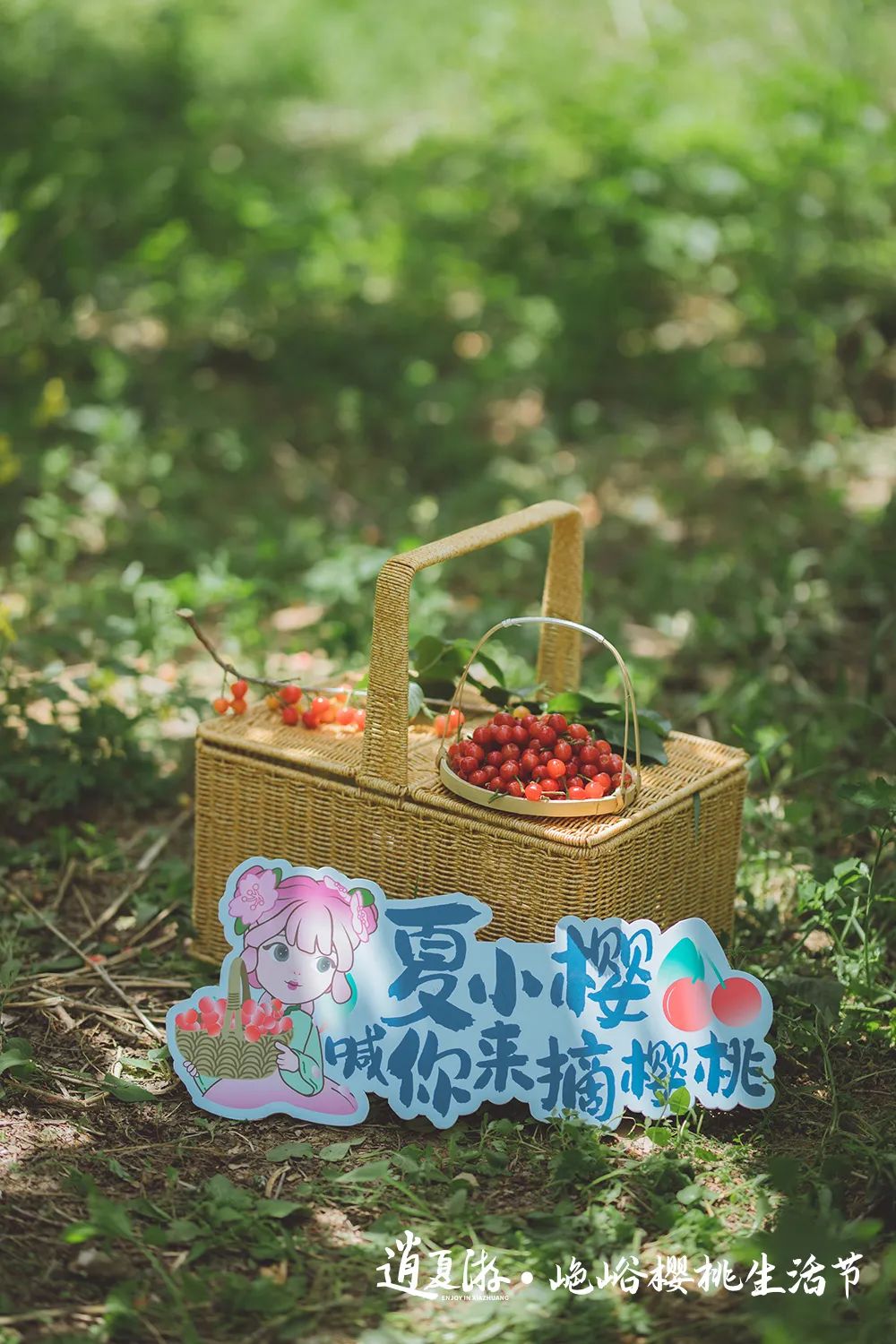 山色峪樱桃生活节惊艳开幕，邀你共赴美好乡村生活！