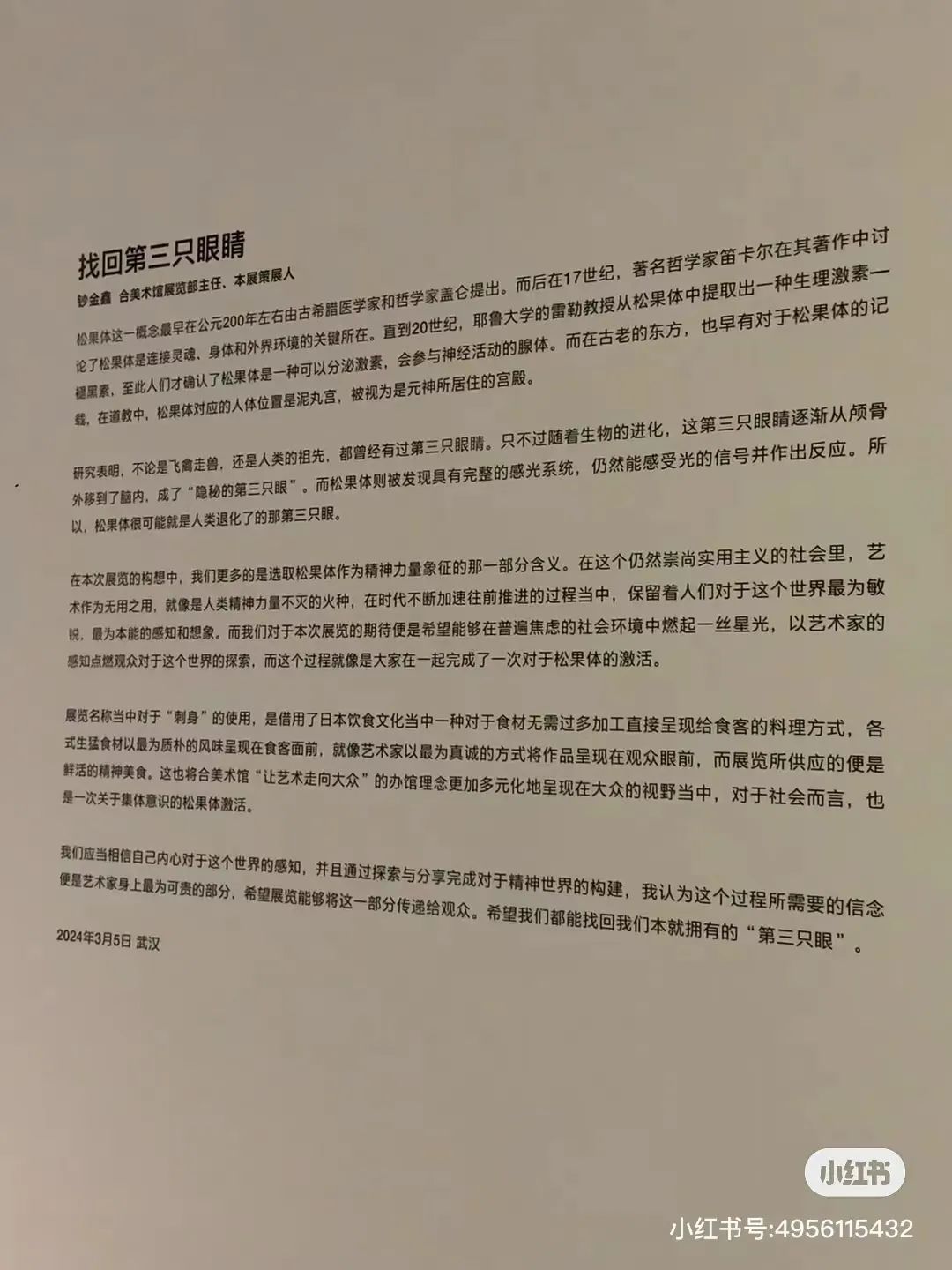 表达更新的思想观念与视觉经验，“松果体刺身——中日青年艺术家影像交流展”众家谈