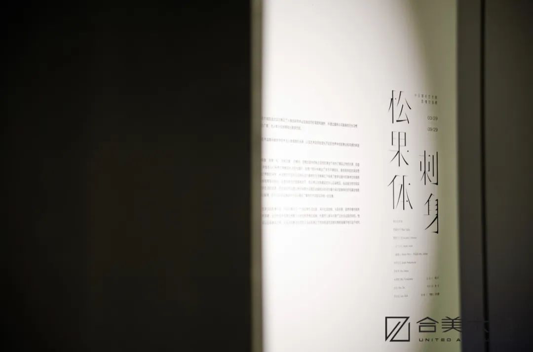 表达更新的思想观念与视觉经验，“松果体刺身——中日青年艺术家影像交流展”众家谈