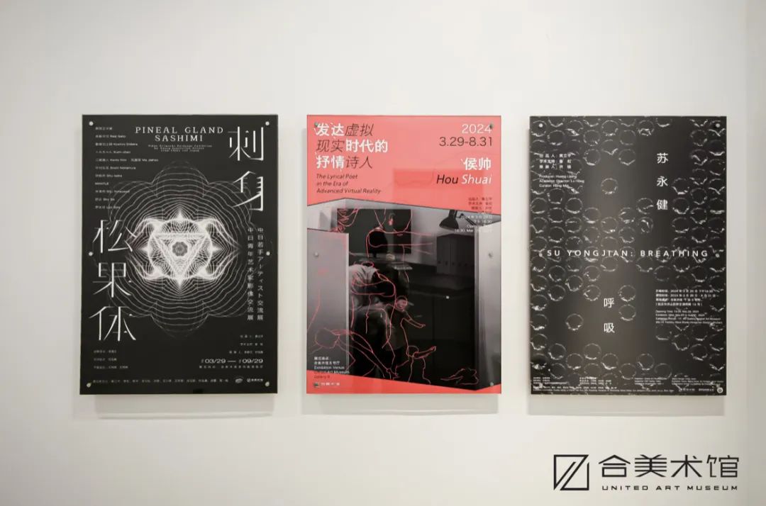 表达更新的思想观念与视觉经验，“松果体刺身——中日青年艺术家影像交流展”众家谈