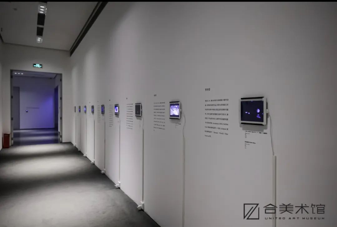 表达更新的思想观念与视觉经验，“松果体刺身——中日青年艺术家影像交流展”众家谈