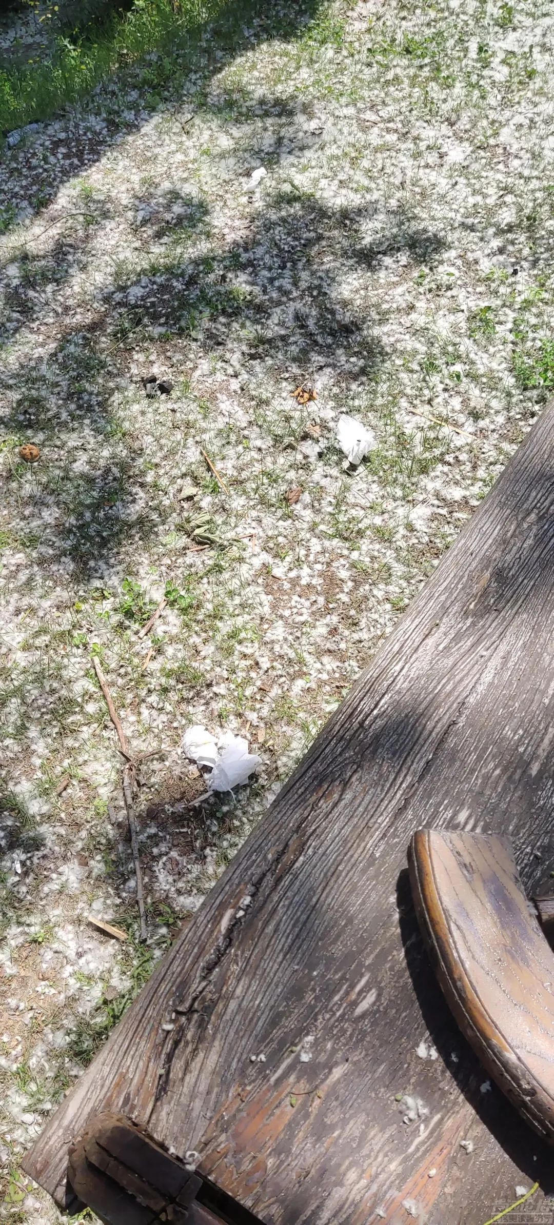 天天3·15｜体验感极差！济宁泗水万紫千红4a景点被诉脏乱差