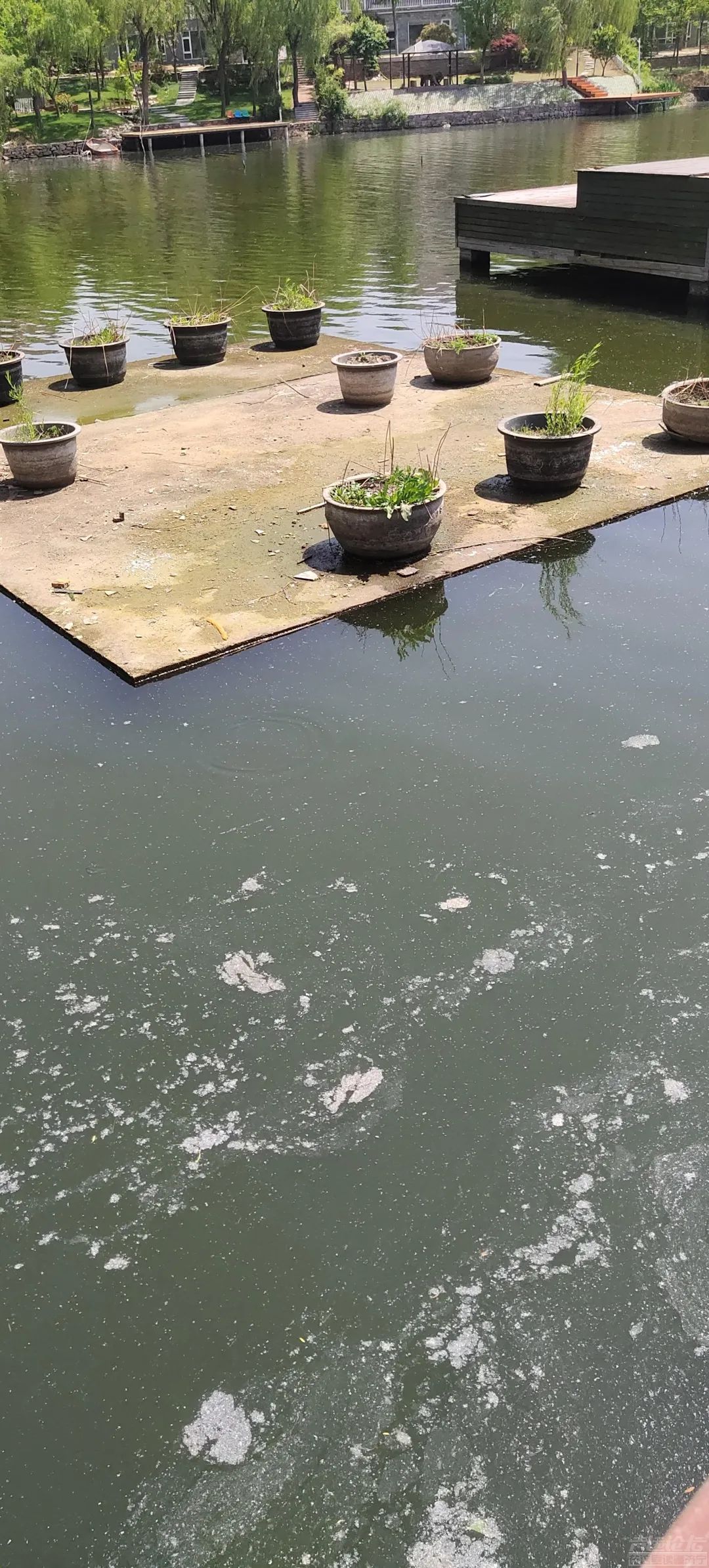 天天3·15｜体验感极差！济宁泗水万紫千红4a景点被诉脏乱差