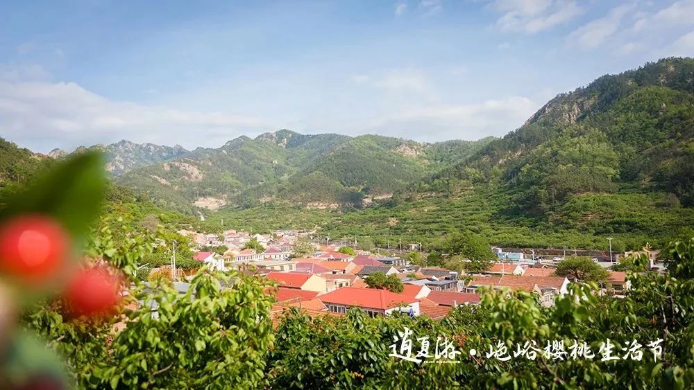 红了樱桃，恣了游客，富了村民 ——“山色峪樱桃生活节”圆满收官，带动山色峪乡村振兴