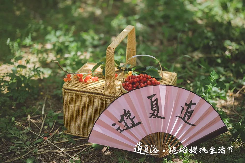 红了樱桃，恣了游客，富了村民 ——“山色峪樱桃生活节”圆满收官，带动山色峪乡村振兴