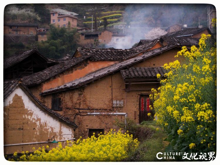 古村坑根嗅早春