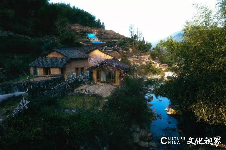 古村坑根嗅早春