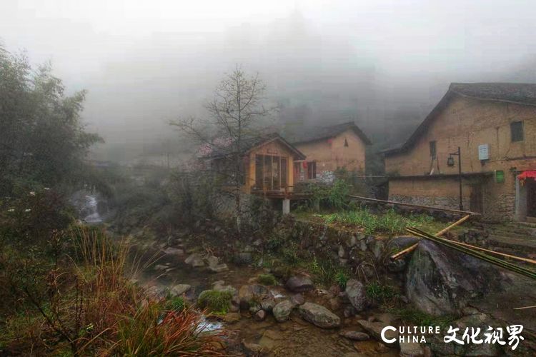 古村坑根嗅早春