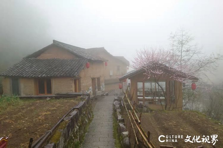 古村坑根嗅早春